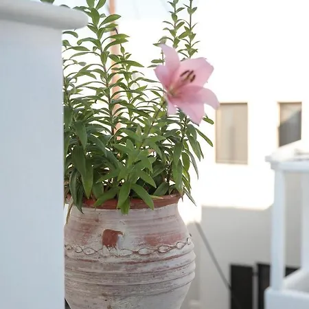 Lägenhet Green Loft In Naxos Chora